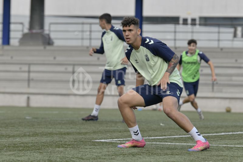 Fotos: El C amarillo se prepara para celebrar el título de Preferente