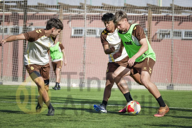 Fotos: Las Palmas C se prepara a fondo para su nueva cita