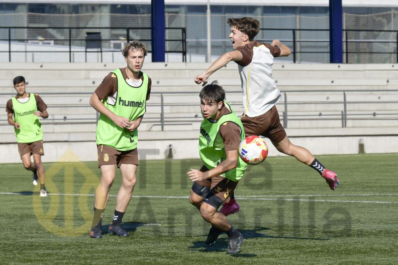 Fotos: Las Palmas C se prepara a fondo para su nueva cita