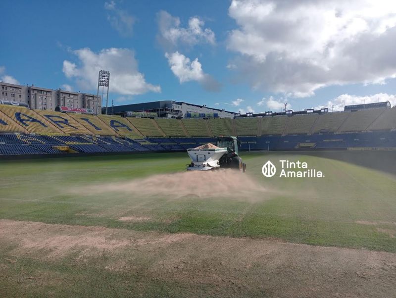 La semilla de invierno llega al Estadio de Gran Canaria