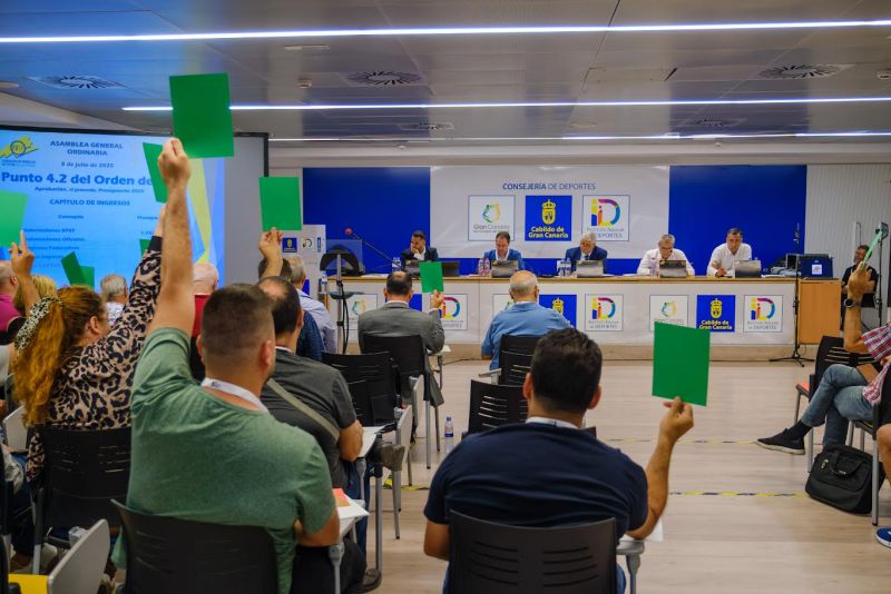 Cartulinas verdes a las principales propuestas de la FIFLP