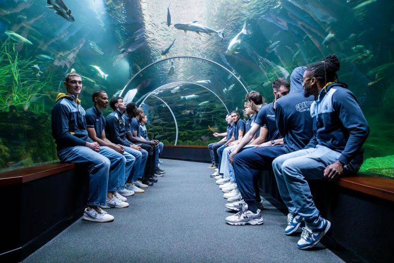 La plantilla del Gran Canaria, bajo el mar