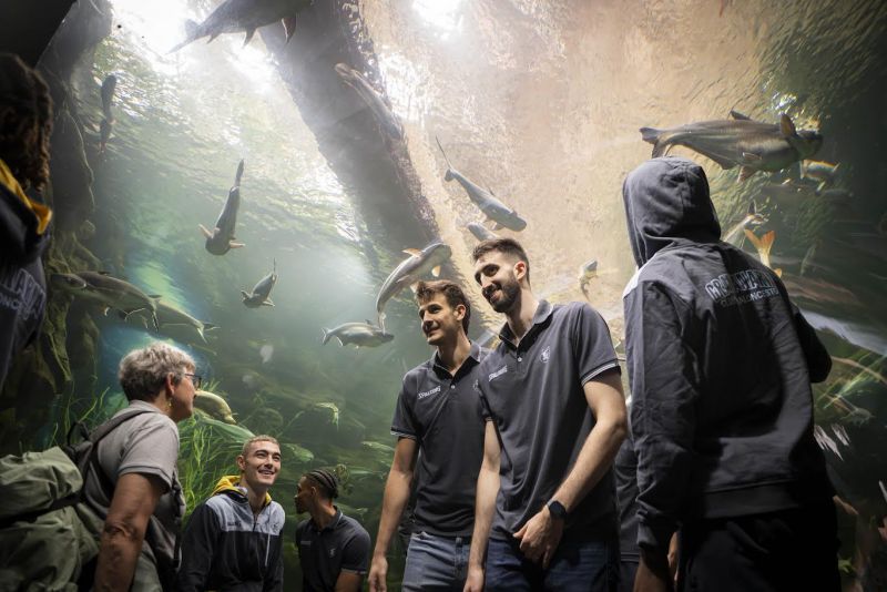 Eric Vila pide mejorar los tiros libres y el rebote para poder ganar al Joventut