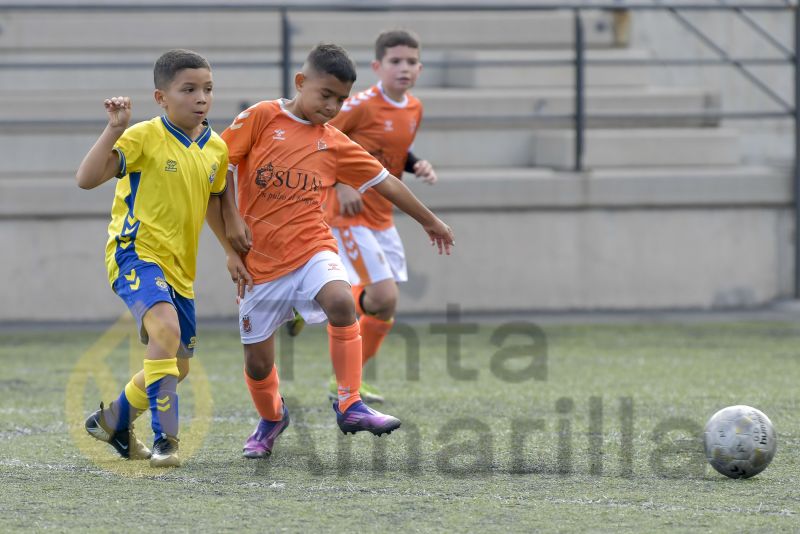 Fotos: El benjamín de la UD inicia su segunda fase de competición