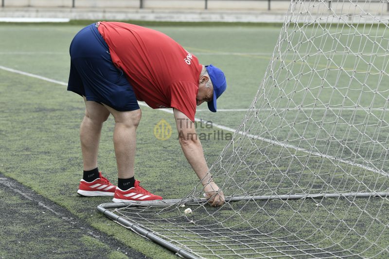 Recogida de ajos en el Juan Guedes