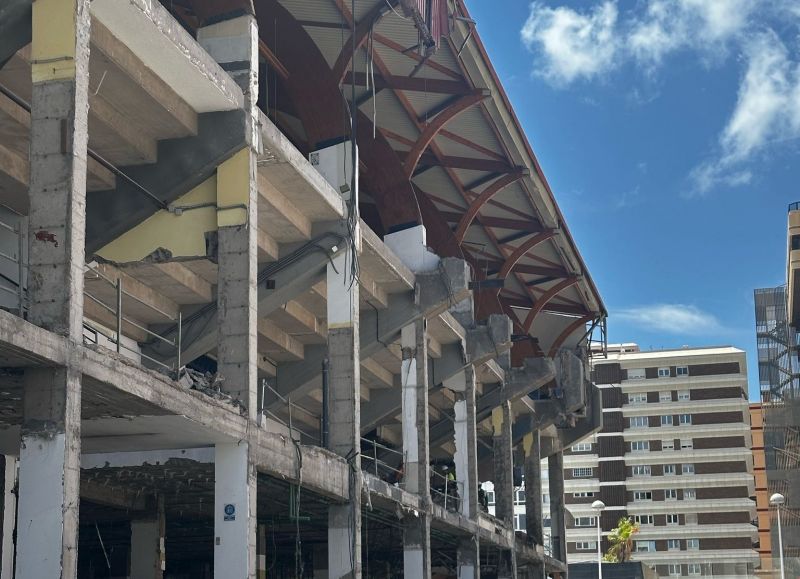 El esqueleto del Centro Insular