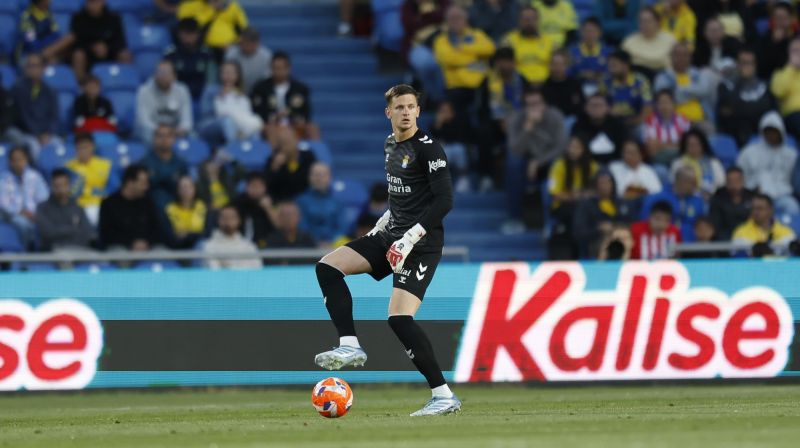 La telaraña que construye el paciente Dinko Horkas 