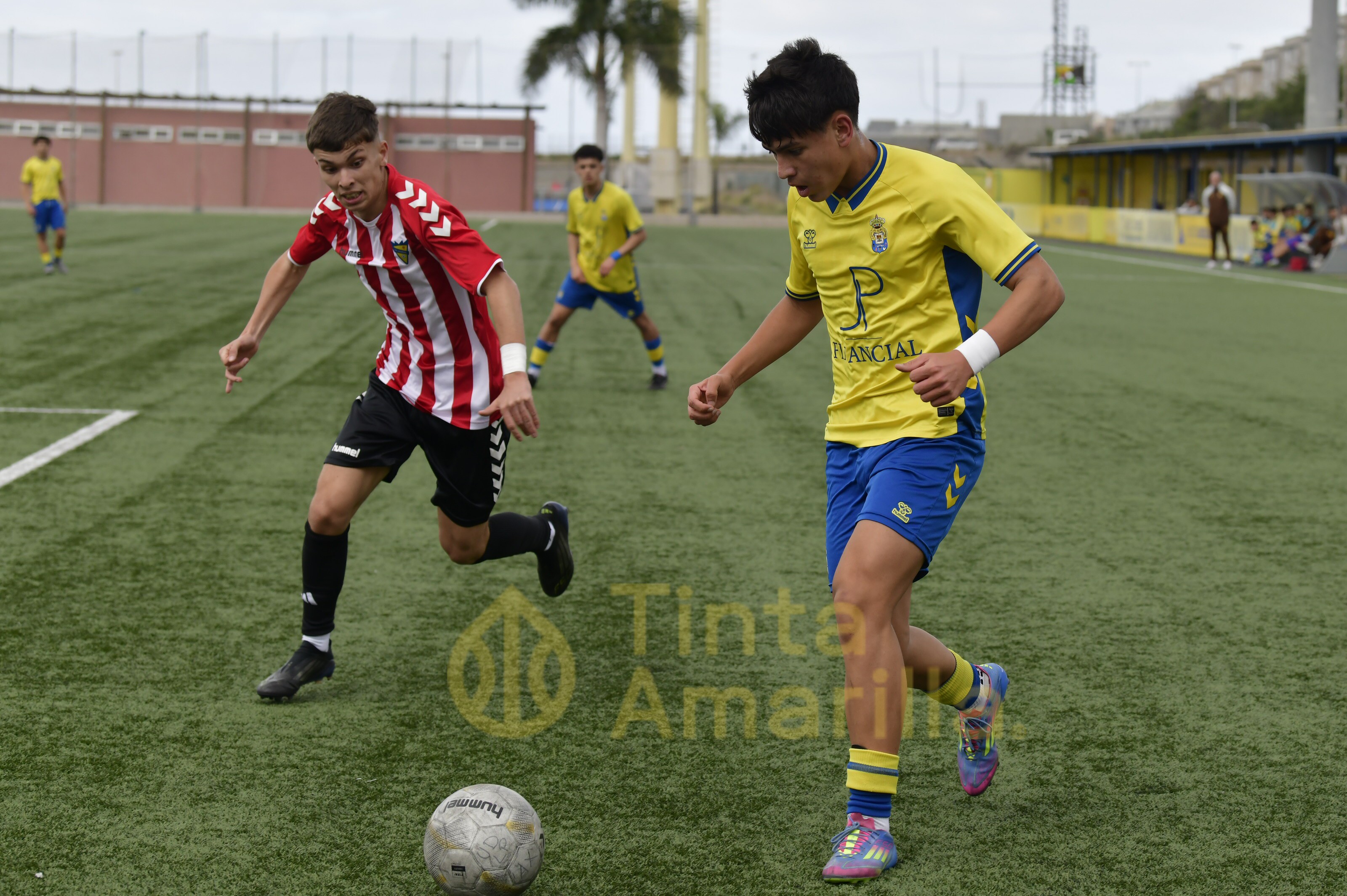 Fotos: El juvenil C de la UD ya tiene a tiro el título de su Liga