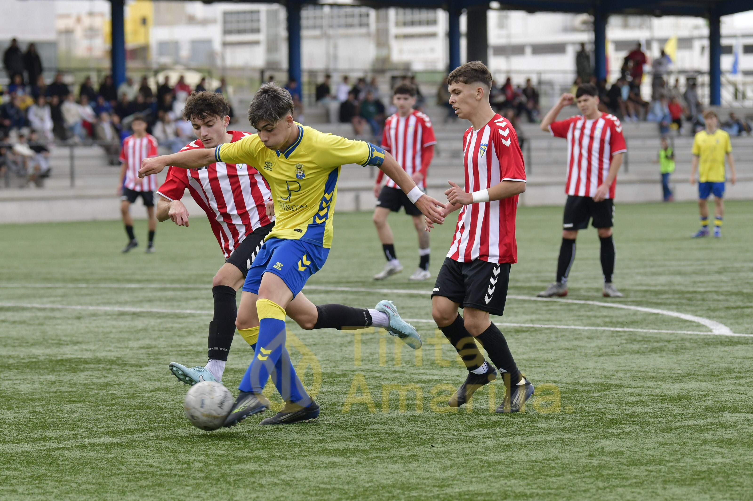 Fotos: El juvenil C de la UD ya tiene a tiro el título de su Liga