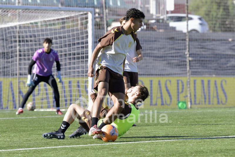 Fotos: Las Palmas C ya mira hacia el Juan Guedes