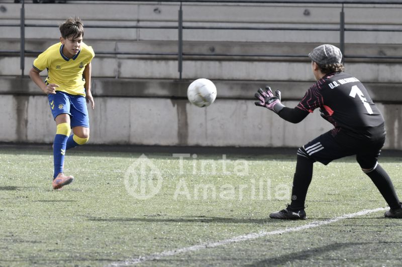 Fotos: El Alevín A de la UD comenzó la segunda fase de su Liga