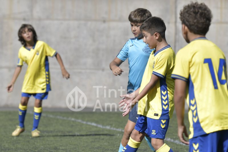 Fotos: Alevín Fundación de la UD vs Carnevali B