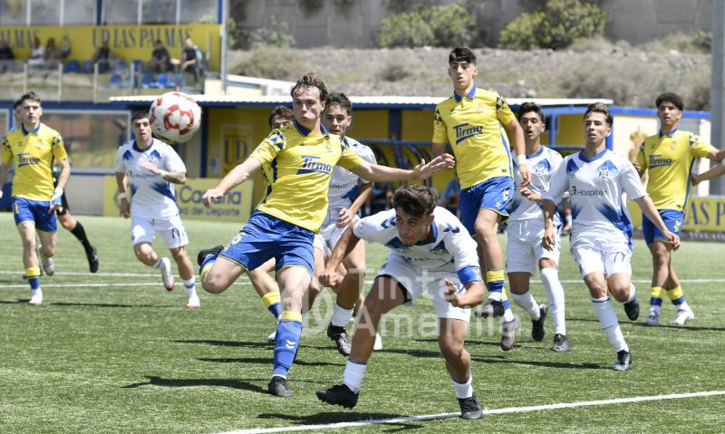 La División de Honor juvenil podría sufrir un regreso a un formato de Liga estatal