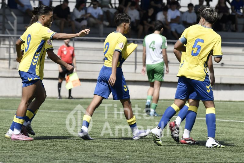Fotos: La UD Las Palmas protege su liderato con goleada (7-0)