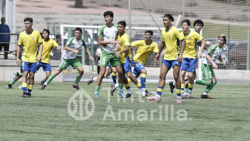Fotos: La UD Las Palmas protege su liderato con goleada (7-0)