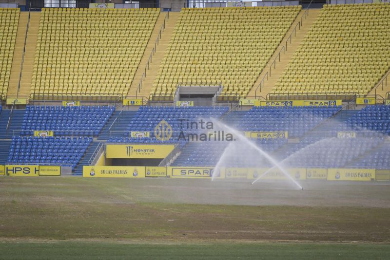 Primeros brotes verdes en el Estadio de Gran Canaria